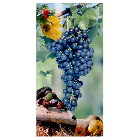 Wie spät ist es? - Es ist September